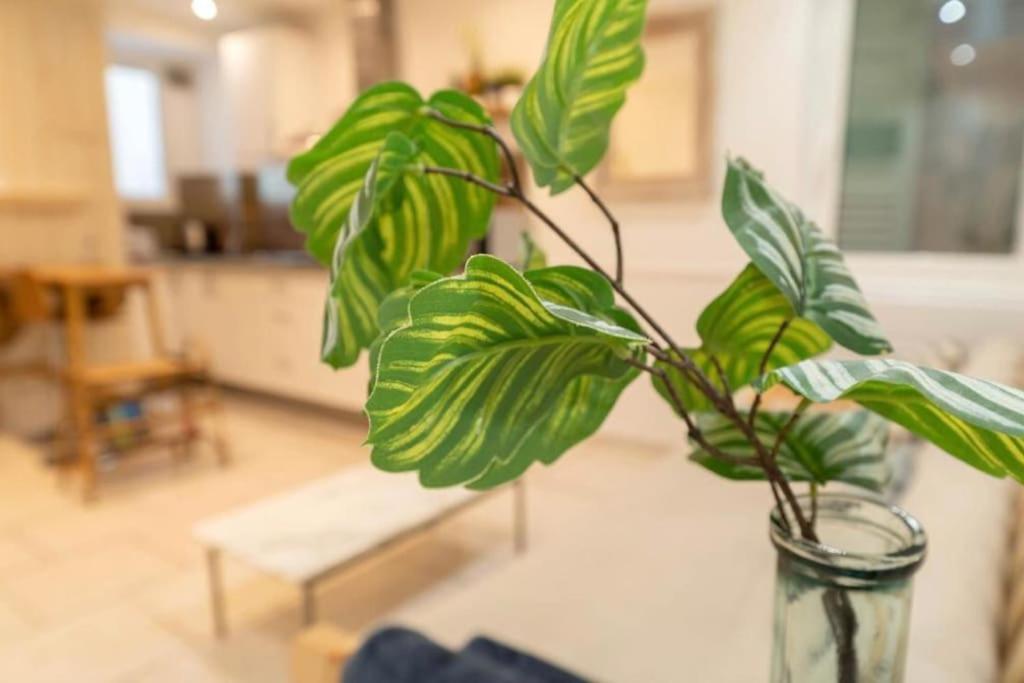 Apartment 2p, Quartier Du Port, Nizza